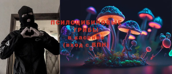 сатива Балахна