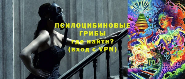 бутират Белокуриха