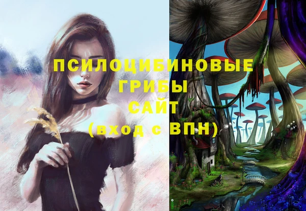 Альфа ПВП Беломорск