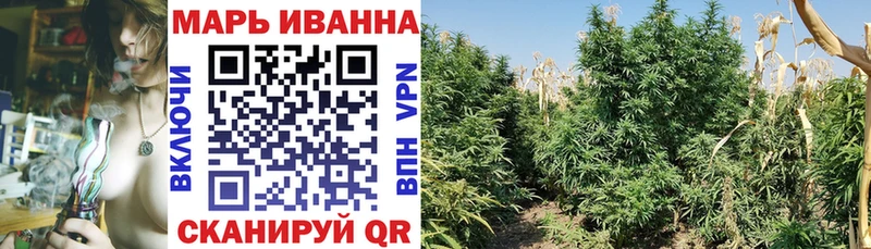 Марихуана THC 21%  кракен ссылки  Короча 